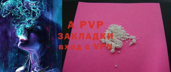 ГАЛЛЮЦИНОГЕННЫЕ ГРИБЫ Осташков