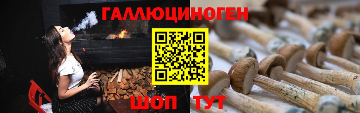 Сальск  Галлюциногенные грибы Magic Shrooms  наркотики  Вход с VPN 